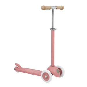 ECO-SCOOTER-RASPBERRY-