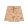 Roamer | Brown UV Swim Shorts Boys