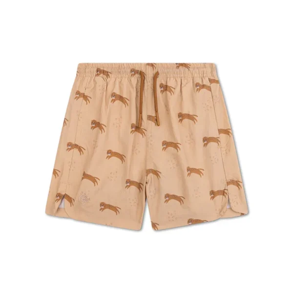 Roamer | Brown UV Swim Shorts Boys