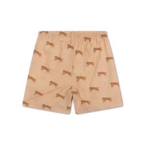 Roamer | Brown UV Swim Shorts Boys
