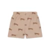 Roamer | Brown UV Swim Boxer for Boys