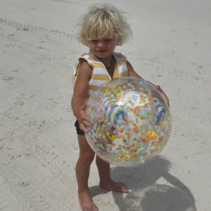 3D Inflatable Beach Ball Sammy the Seagull Blue Stripe