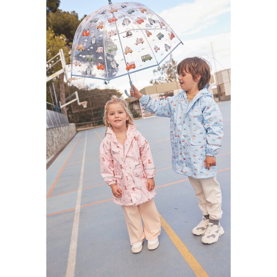 Transparent Umbrella City Cars