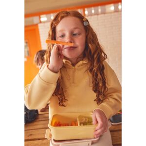 Bento Lunch Box Magical Forest