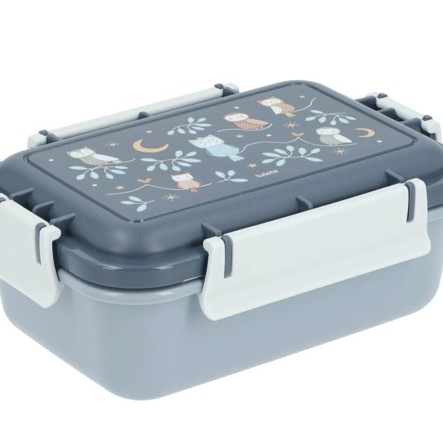 Bento Lunch Box Magical Forest