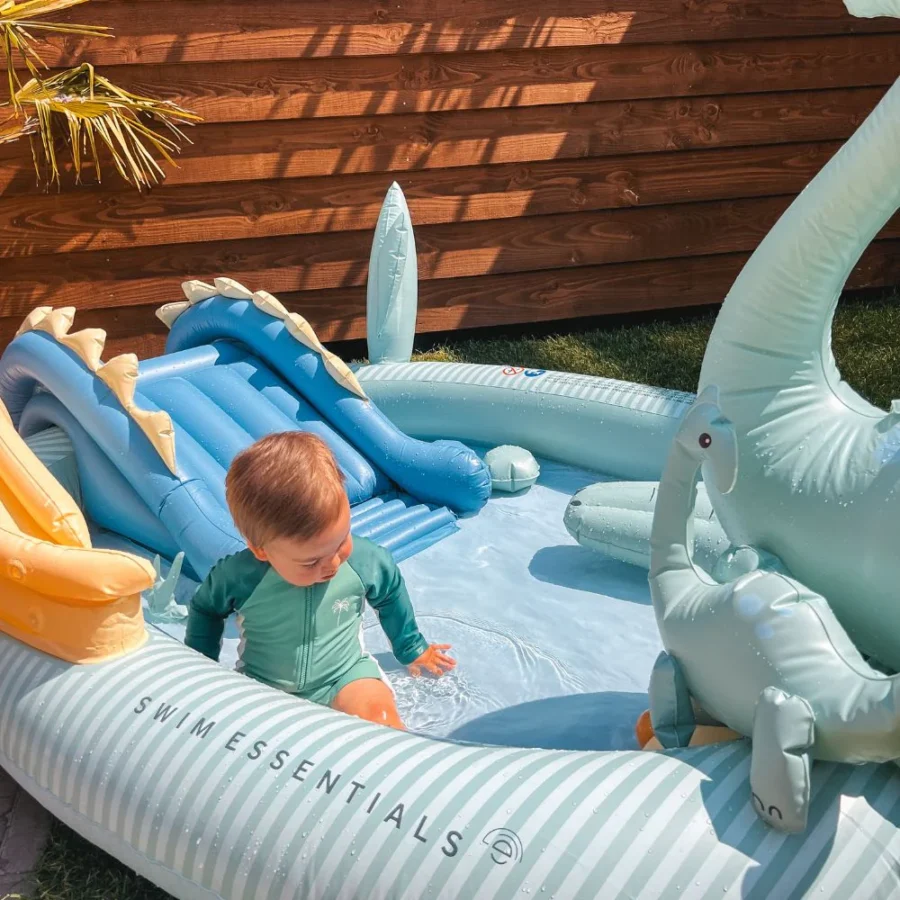 Play Pool - Multicolored - Dino